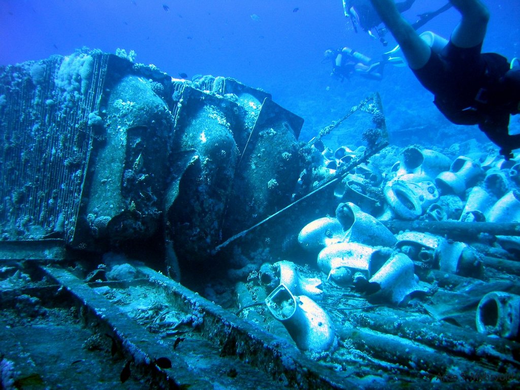 2006- Yolanda reef (8).jpg